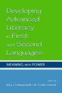 Developing Advanced Literacy in First and Second Languages di Mary J. Schleppegrell edito da Routledge