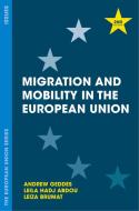 Migration and Mobility in the European Union di Andrew Geddes, Leila Hadj-Abdou, Leiza Brumat edito da RED GLOBE PR