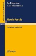 Matrix Pencils edito da Springer Berlin Heidelberg
