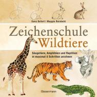 Zeichenschule Wildtiere di Oana Befort, Maggie Reinbold edito da Bassermann, Edition