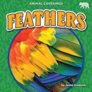 Feathers di Jenna Grodzicki edito da Bearport Publishing