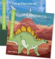 My Dinosaur Adventure (Set) di Jake Nelson edito da CHERRY LAKE PUB