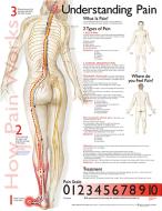 Understanding Pain Anatomical Chart di Anatomical Chart Company edito da Anatomical Chart Co.