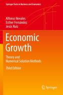 Economic Growth di Alfonso Novales, Esther Fernandez, Jesus Ruiz edito da Springer-Verlag Berlin And Heidelberg GmbH & Co. KG