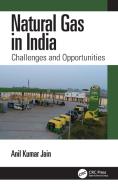 Natural Gas In India di Anil Kumar Jain edito da Taylor & Francis Ltd