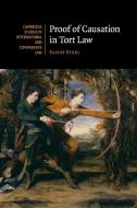 Proof of Causation in Tort Law di Sandy Steel edito da Cambridge University Press