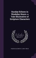 Sunday Echoes In Weekday Hours. A Tale Illustrative Of Scripture Characters di Frances Elizabeth G Carey- Brock edito da Palala Press