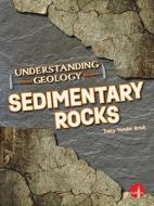 Sedimentary Rocks di Tracy Vonder Brink edito da LIGHTHOUSE