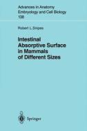 Intestinal Absorptive Surface in Mammals of Different Sizes di Robert L. Snipes edito da Springer Berlin Heidelberg