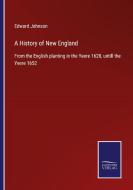 A History of New England di Edward Johnson edito da Salzwasser-Verlag GmbH