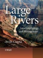 Large Rivers di Avijit Gupta edito da Wiley-Blackwell