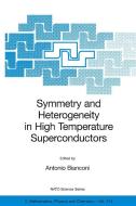 Symmetry and Heterogeneity in High Temperature Superconductors di Antonio Bianconi edito da Springer