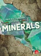 Minerals di Tracy Vonder Brink edito da LIGHTHOUSE