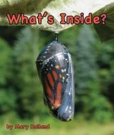 What's Inside? di Mary Holland edito da ARBORDALE PUB