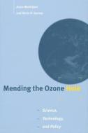 Mending The Ozone Hole di Arjun Makhijani, Kevin Gurney edito da Mit Press Ltd