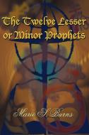 The Twelve Lesser or Minor Prophets di Marie S. Burns edito da AuthorHouse