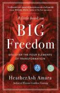 A Little Book on Big Freedom di HeatherAsh (HeatherAsh Amara) Amara edito da Hierophant Publishing