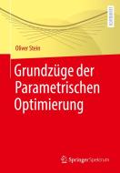 Grundzüge der Parametrischen Optimierung di Oliver Stein edito da Springer-Verlag GmbH