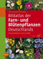 Bildatlas der Farn- und Blütenpflanzen Deutschlands di Henning Haeupler, Thomas Muer edito da Ulmer Eugen Verlag