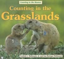 Counting in the Grasslands di Fredrick McKissack, Lisa Beringer McKissack edito da Enslow Elementary