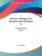Entozoa, Iakttagna Hos Skandinaviska Hafsfiskar V1: Platyelminthes (1867) di Peter Olsson edito da Kessinger Publishing