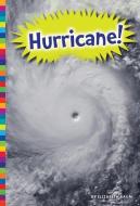 Hurricane! di Elizabeth Raum edito da AMICUS