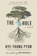 The Hole di Hye-Young Pyun edito da ARCADE PUB