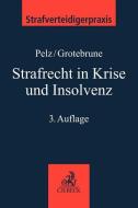 Strafrecht in Krise und Insolvenz di Christian Pelz, Björn Grotebrune edito da Beck C. H.