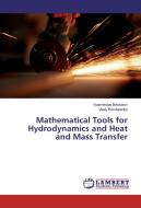 Mathematical Tools for Hydrodynamics and Heat and Mass Transfer di Vyacheslav Belousov, Vitaly Bondarenko edito da LAP Lambert Academic Publishing