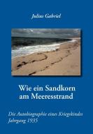 Wie ein Sandkorn am Meeresstrand di Julius Gabriel edito da Books on Demand