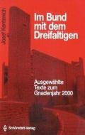 Im Bund mit dem Dreifaltigen di Josef Kentenich edito da Schönstatt-Verlag