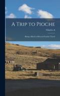 A Trip to Pioche; Being a Sketch of Recent Frontier Travel di Charles A. Sumner edito da LEGARE STREET PR