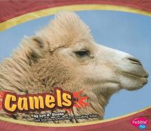 Camels di Lyn A. Sirota edito da Pebble Plus