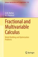 Fractional and Multivariable Calculus di H. J. Haubold, A. M. Mathai edito da Springer International Publishing