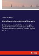 Hieroglyphisch-Demotisches Wörterbuch di Heinrich Karl Brugsch edito da hansebooks