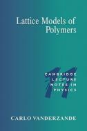 Lattice Models of Polymers di Carlo Vanderzande edito da Cambridge University Press
