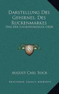 Darstellung Des Gehirnes, Des Ruckenmarkes: Und Der Sinneswerkzeuge (1824) di August Carl Bock edito da Kessinger Publishing