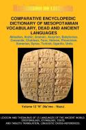 V12.Comparative Encyclopedic Dictionary of Mesopotamian Vocabulary Dead & Ancient Languages di Maximillien De Lafayette edito da Lulu.com
