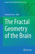 The Fractal Geometry of the Brain edito da Springer New York