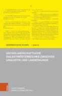 Großlandschaftliche Dialektwörterbücher zwischen Linguistik und Landeskunde edito da Böhlau-Verlag GmbH