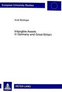 Intangible Assets in Germany and Great Britain di Anat Blodinger edito da Lang, Peter GmbH
