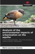 Analysis of the environmental impacts of urbanization on the aquifer di Mário Lourenço Cássimo edito da Our Knowledge Publishing