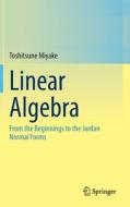 Linear Algebra di Toshitsune Miyake edito da Springer Verlag, Singapore