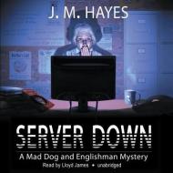 Server Down di J. M. Hayes, Lloyd James edito da Blackstone Audiobooks