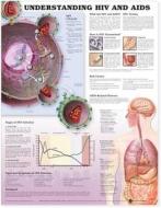 Understanding Hiv And Aids Anatomical Chart In Spanish (entendiendo Que Son El Vih Y El Sida) edito da Anatomical Chart Co.