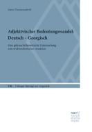 Adjektivischer Bedeutungswandel: Deutsch - Georgisch di Gaios Tsutsunashvili edito da Gunter Narr Verlag
