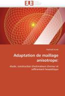 Adaptation de maillage anisotrope: di Raphaël Kuate edito da Editions universitaires europeennes EUE