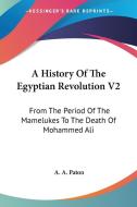 A History Of The Egyptian Revolution V2: From The Period Of The Mamelukes To The Death Of Mohammed Ali di A. A. Paton edito da Kessinger Publishing, Llc