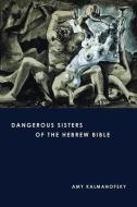 Dangerous Sisters of the Hebrew Bible di Amy Kalmanofsky edito da AUGSBURG FORTRESS PUBL