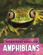 Endangered Wildlife Rescuing Amphi di GANERI ANITA edito da Hodder Wayland Childrens